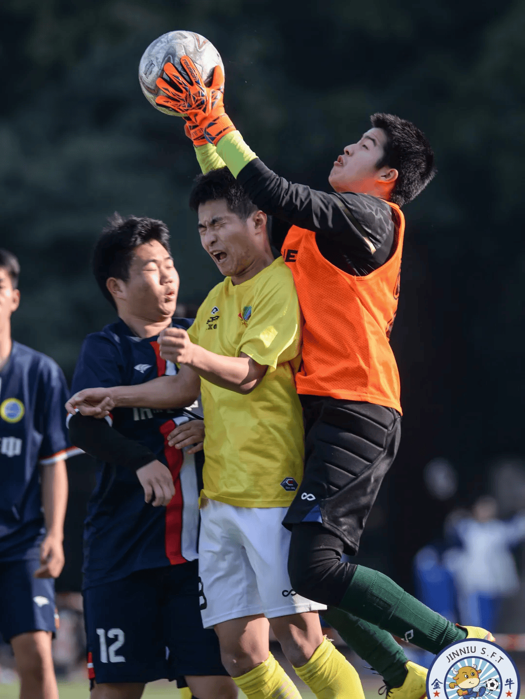 球员们在绿茵场上奋力拼搏，为荣誉而战
