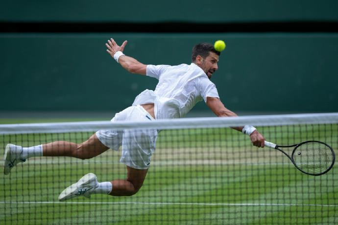 温网逆转美网，德约科维奇状态火热