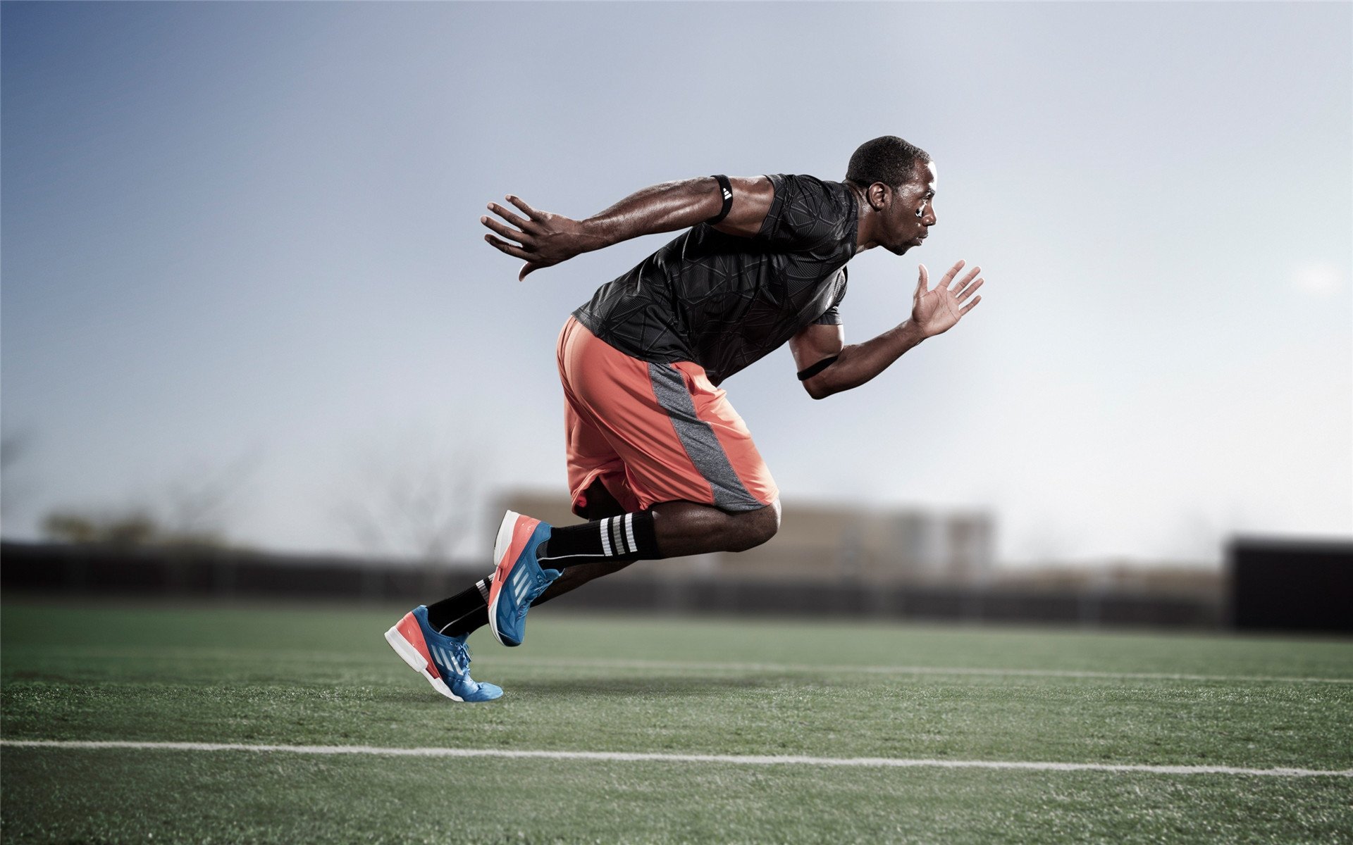 凯尔特人防守锁死猛龙，福克斯成为关键先生