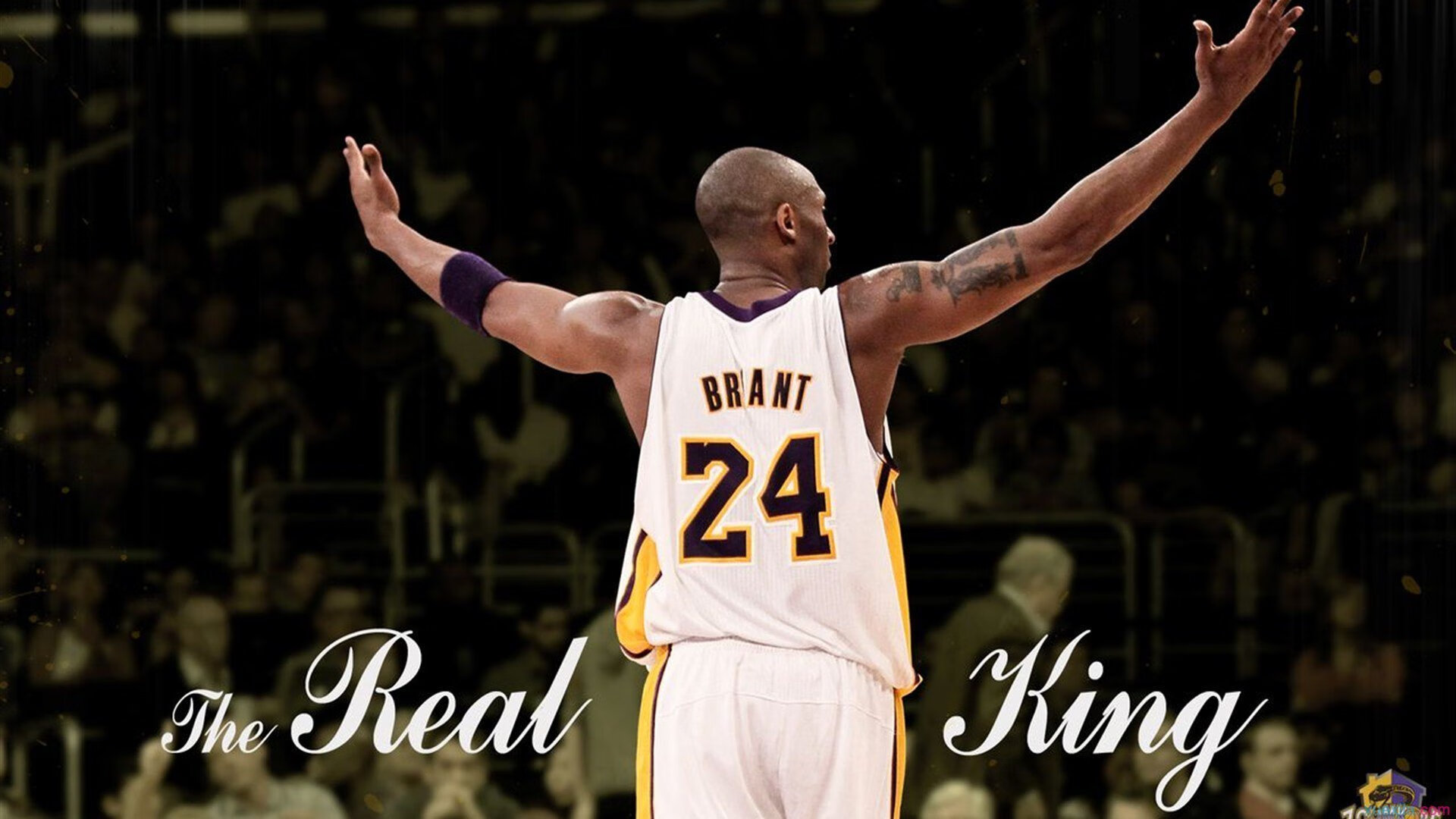 克莱单核闪光，掘金轻取太阳揭示冠军底蕴